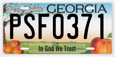 GA license plate PSF0371