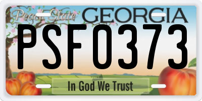 GA license plate PSF0373
