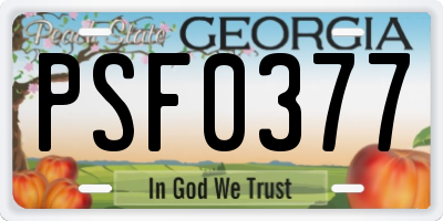 GA license plate PSF0377