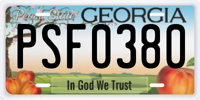 GA license plate PSF0380