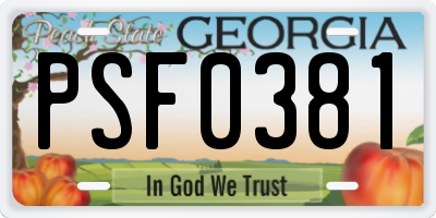 GA license plate PSF0381