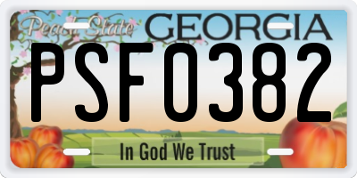 GA license plate PSF0382