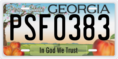 GA license plate PSF0383