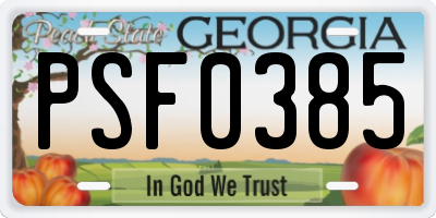 GA license plate PSF0385