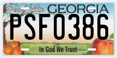 GA license plate PSF0386