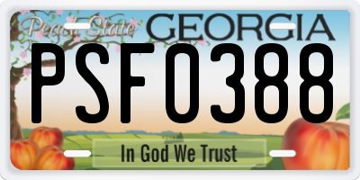 GA license plate PSF0388