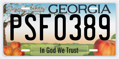 GA license plate PSF0389