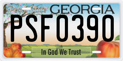 GA license plate PSF0390