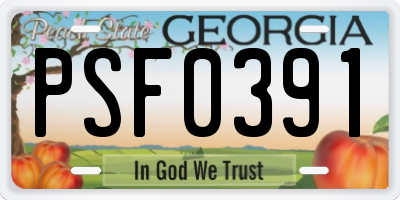 GA license plate PSF0391