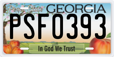 GA license plate PSF0393