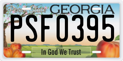 GA license plate PSF0395
