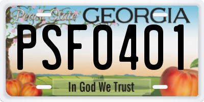 GA license plate PSF0401