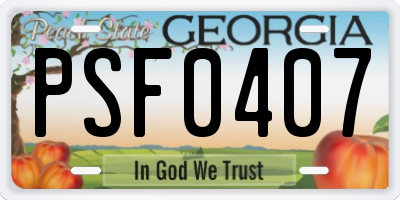 GA license plate PSF0407