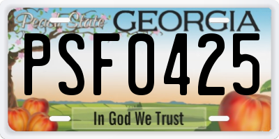 GA license plate PSF0425