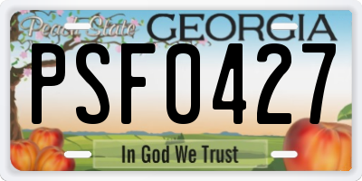 GA license plate PSF0427