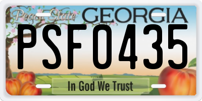 GA license plate PSF0435