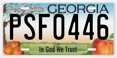 GA license plate PSF0446
