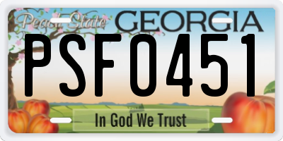 GA license plate PSF0451