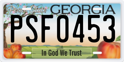 GA license plate PSF0453