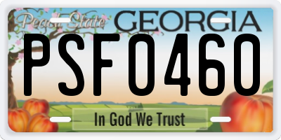 GA license plate PSF0460