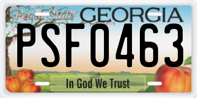 GA license plate PSF0463