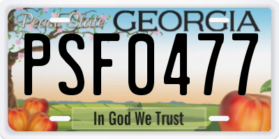 GA license plate PSF0477