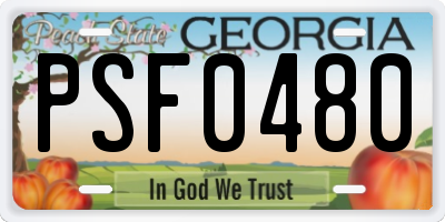 GA license plate PSF0480