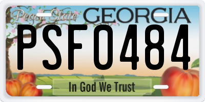 GA license plate PSF0484