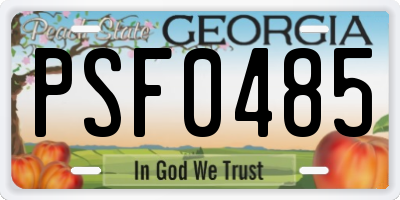 GA license plate PSF0485