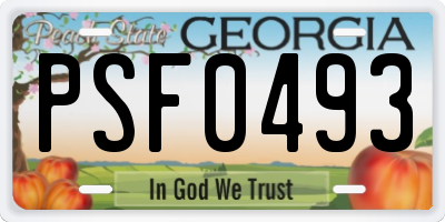 GA license plate PSF0493