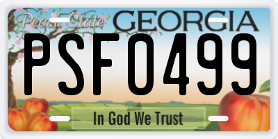 GA license plate PSF0499