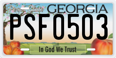 GA license plate PSF0503