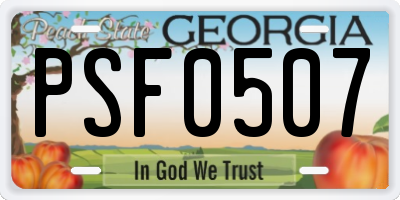 GA license plate PSF0507