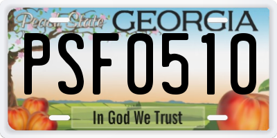 GA license plate PSF0510