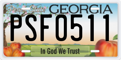 GA license plate PSF0511