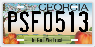 GA license plate PSF0513
