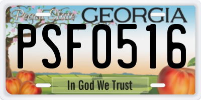 GA license plate PSF0516