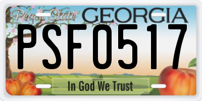 GA license plate PSF0517