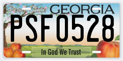 GA license plate PSF0528