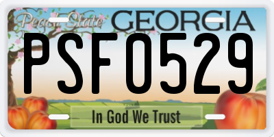 GA license plate PSF0529