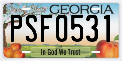 GA license plate PSF0531