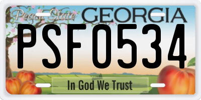 GA license plate PSF0534