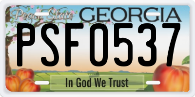 GA license plate PSF0537