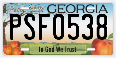 GA license plate PSF0538