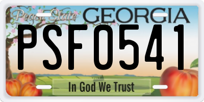 GA license plate PSF0541