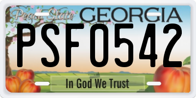 GA license plate PSF0542