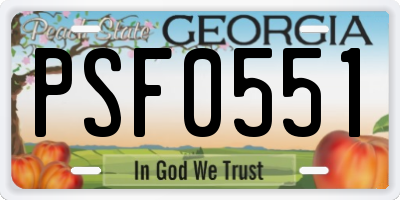 GA license plate PSF0551