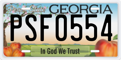 GA license plate PSF0554
