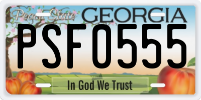 GA license plate PSF0555