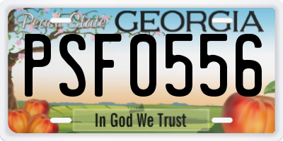 GA license plate PSF0556